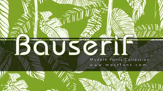 「Bauserif」字体排版图片