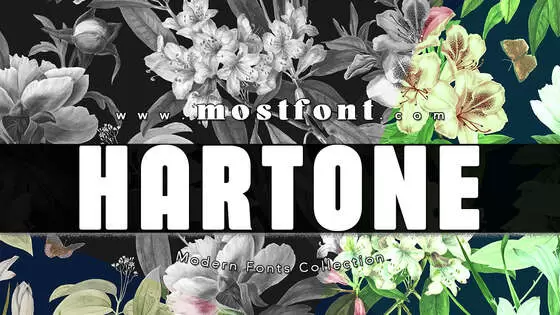 Typographic Design of Hartone-Softed