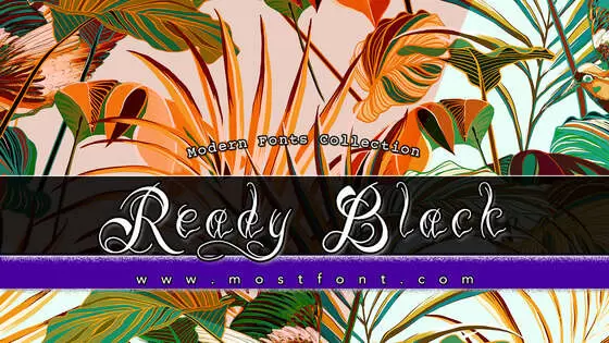 「Ready-Black」字体排版图片