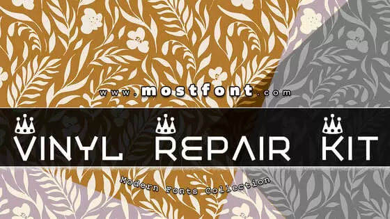 「Vinyl-Repair-Kit」字体排版样式