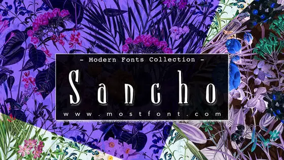 「Sancho」字体排版样式