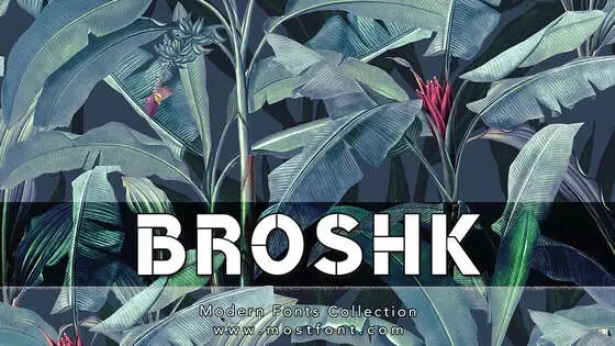 Typographic Design of BroshK