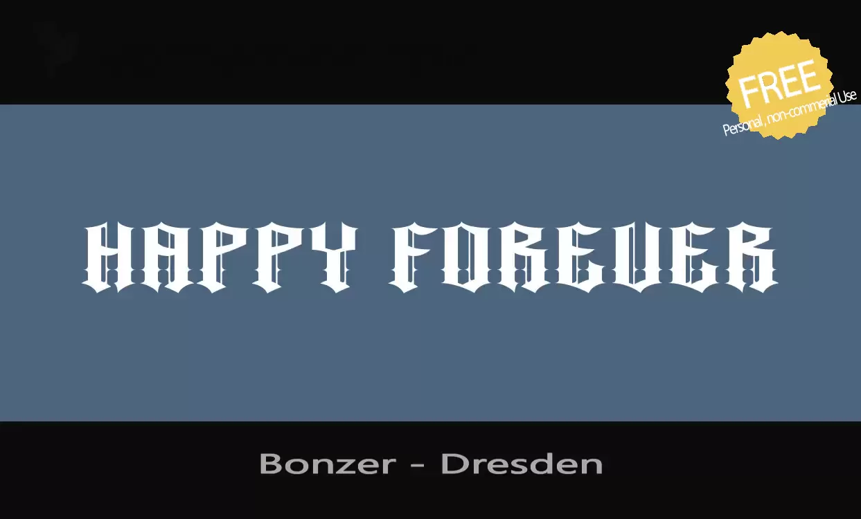 「Bonzer---Dresden」字体效果图