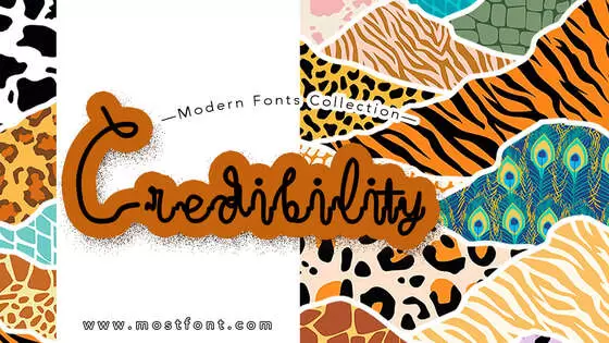 Typographic Design of Credibility