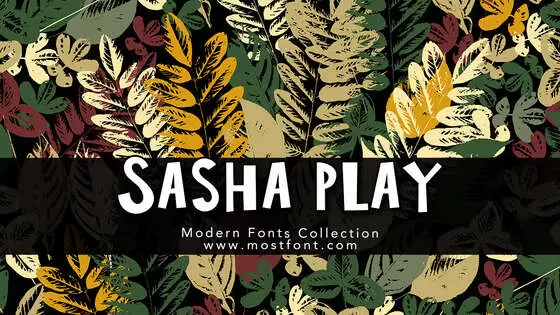 Typographic Design of Sasha-Play