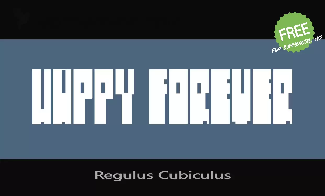 「Regulus-Cubiculus」字体效果图