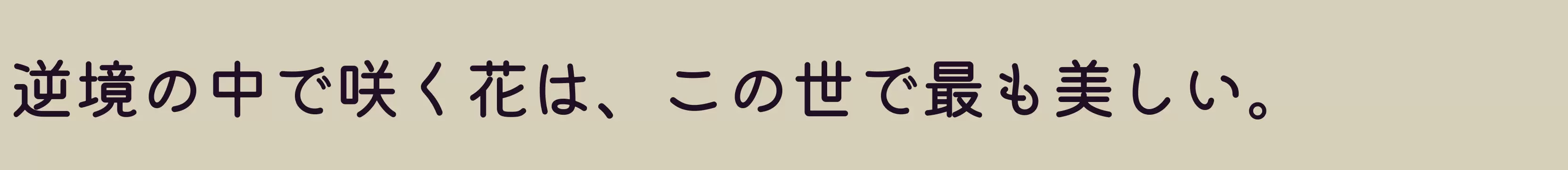 「Medium」字体效果图