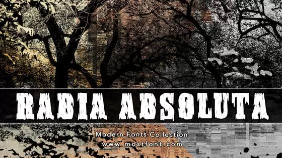 Typographic Design of Rabia-Absoluta