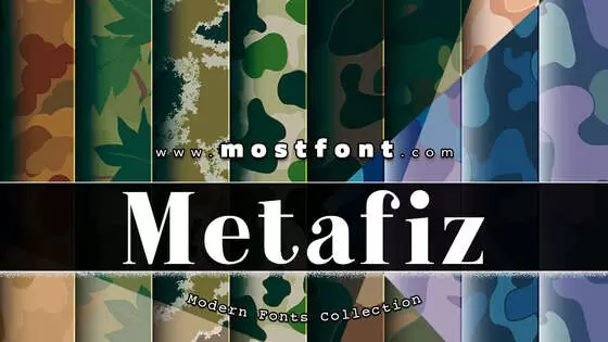 Typographic Design of Metafiz