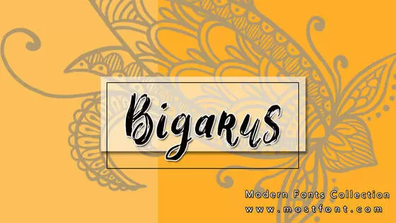 Typographic Design of Bigarus