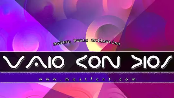 Typographic Design of VAIO-CON-DIOS