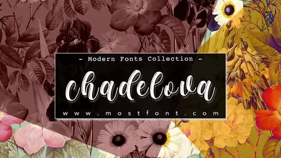 Typographic Design of Chadelova