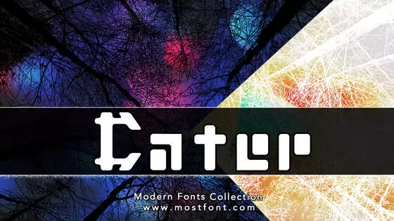 Typographic Design of Cater