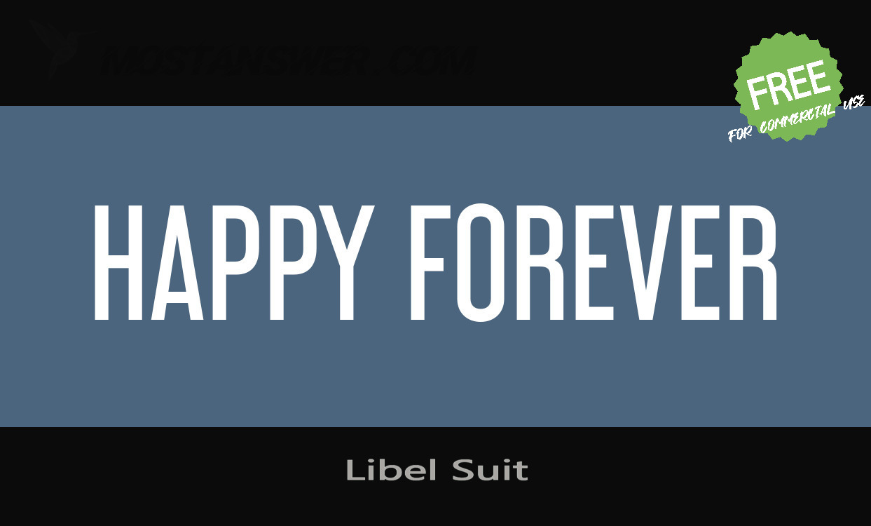 Libel Suit Rg Font By Typodermic Fonts 