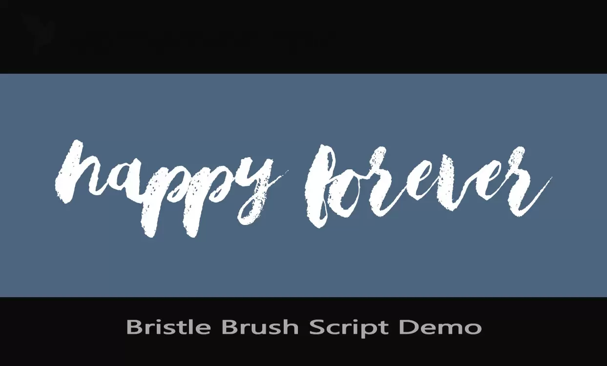 「Bristle-Brush-Script-Demo」字体效果图