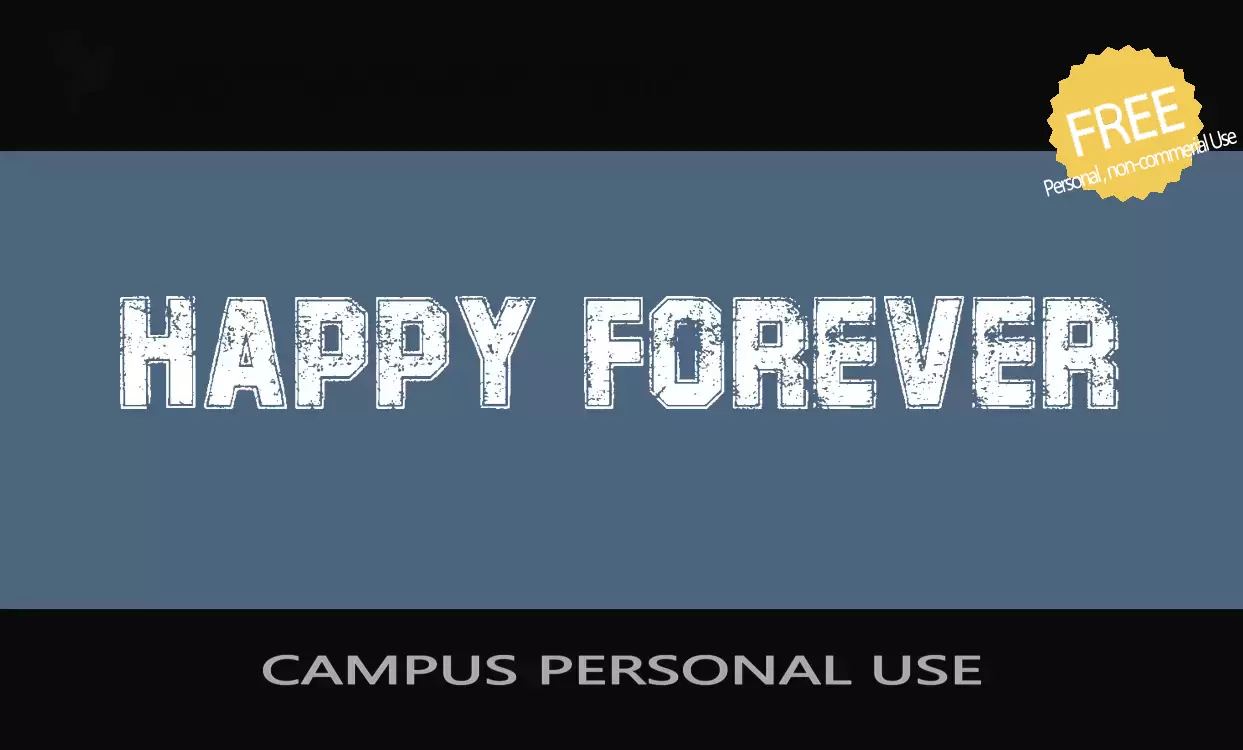 「CAMPUS-PERSONAL-USE」字体效果图