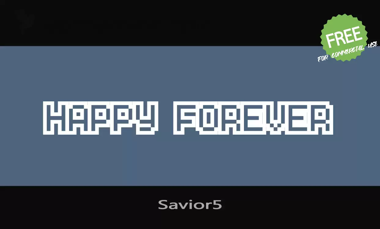 Font Sample of Savior5