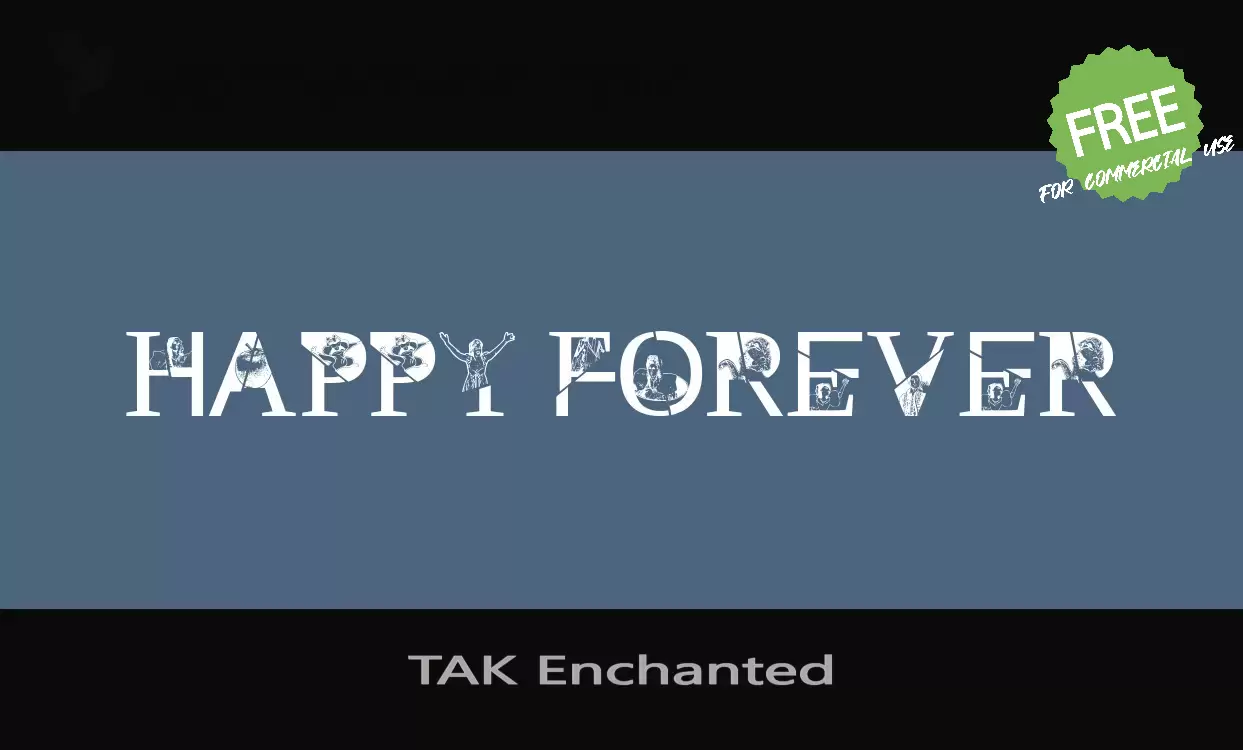 「TAK Enchanted」字体效果图