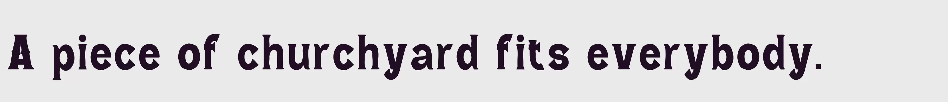 Preview Of Wild Bandit Serif