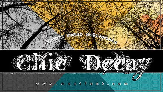 「Chic-Decay」字体排版图片