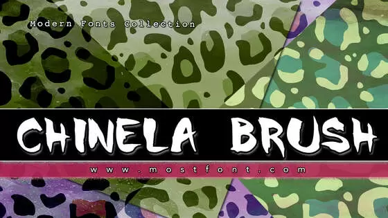 Typographic Design of Chinela-Brush