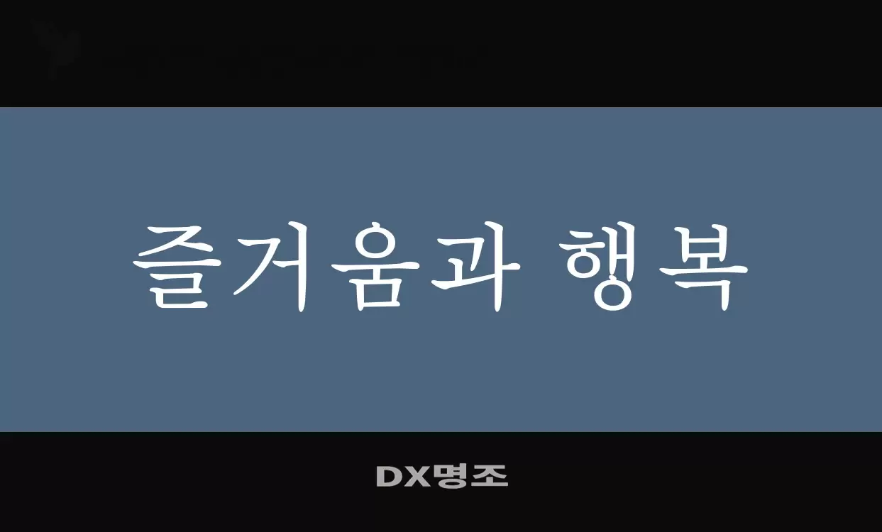 「DX명조」字体效果图