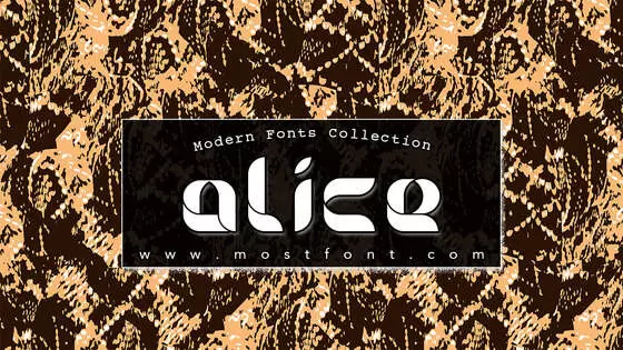 「Alice」字体排版图片