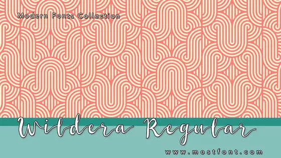 Typographic Design of Wildera-Regular