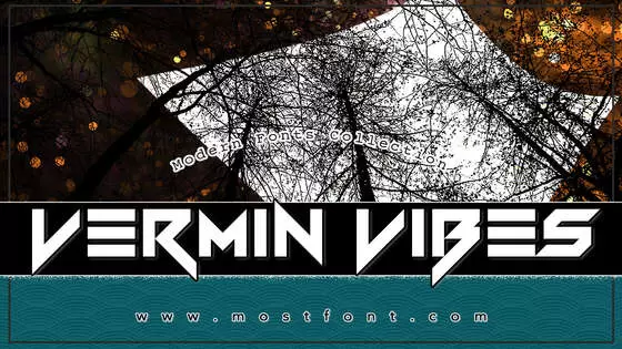 Typographic Design of Vermin-Vibes