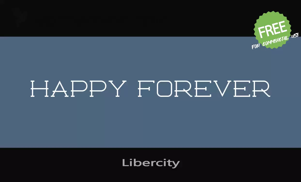 「Libercity」字体效果图