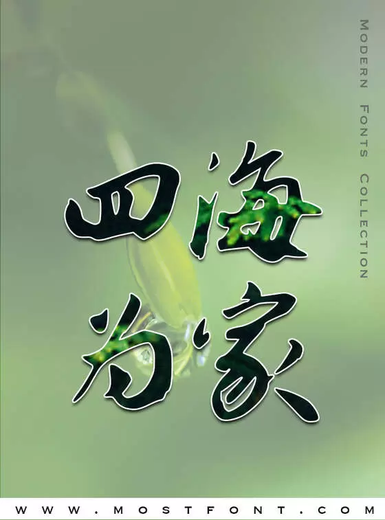 Typographic Design of 钟齐志莽行书