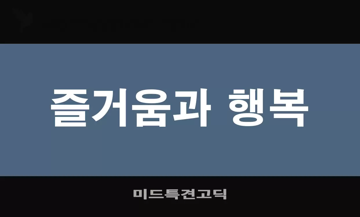 「미드특견고딕」字体效果图