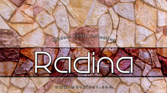 Typographic Design of Radina