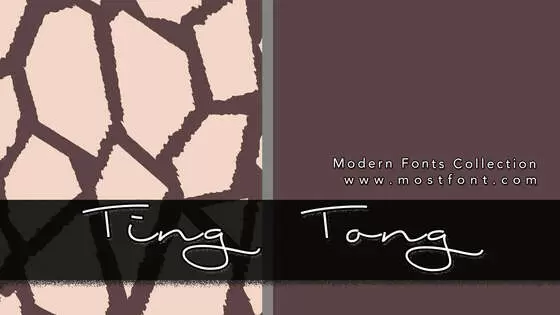 Typographic Design of Ting-Tong