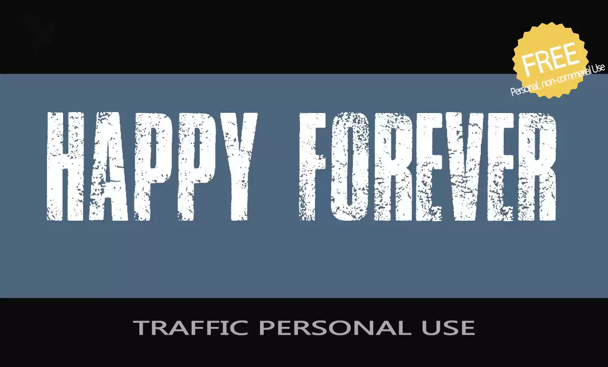 「TRAFFIC-PERSONAL-USE」字体效果图