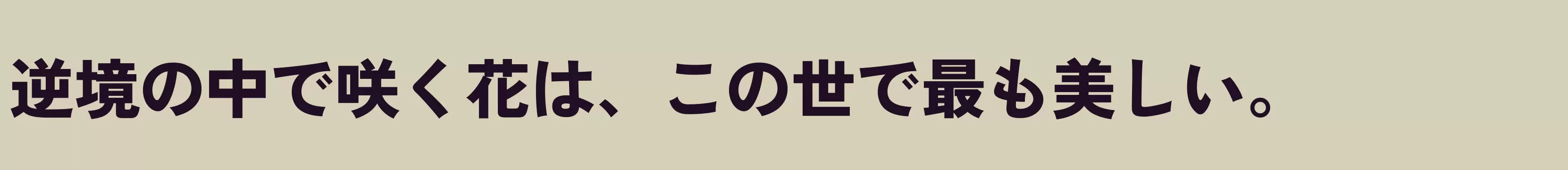 「Black」字体效果图