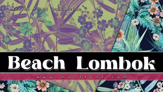 「Beach-Lombok」字体排版图片