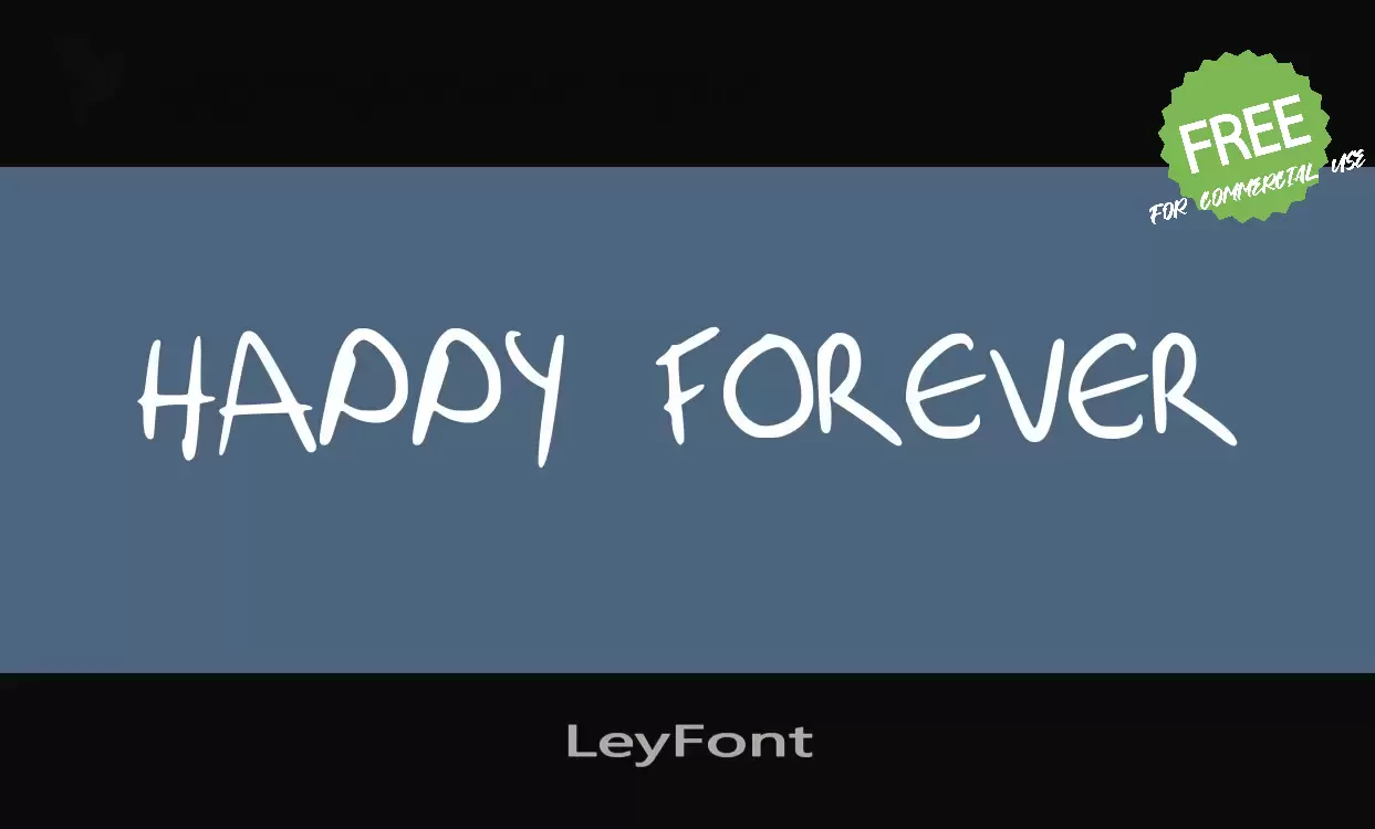 Font Sample of LeyFont