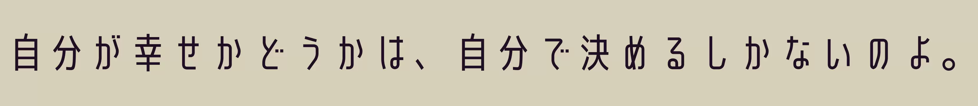 「Senobi Gothic Regular」字体效果图