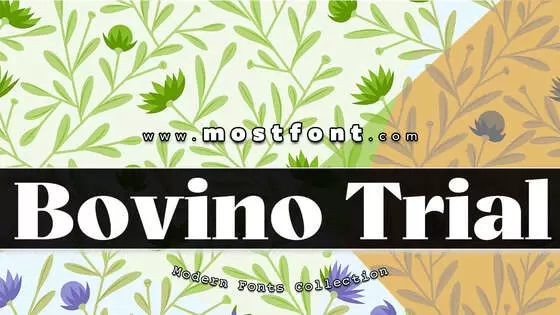 「Bovino-Trial」字体排版样式