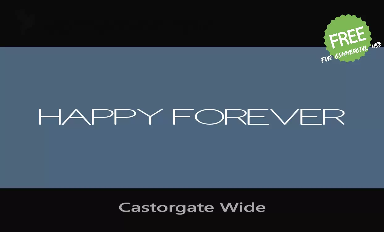 「Castorgate Wide」字体效果图