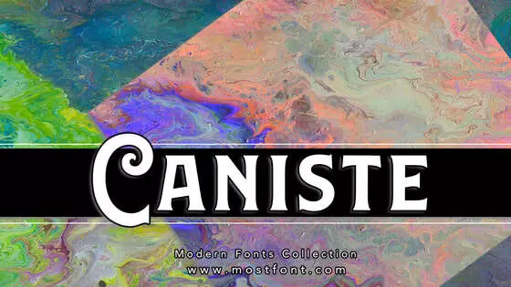 「Caniste-」字体排版图片