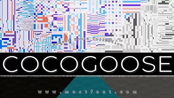 Typographic Design of COCOGOOSE